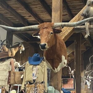 Elevate your interior with this exhibition-quality Red and White Longhorn Mount, vibrant flashy coat, and removable horns for efficient shipping