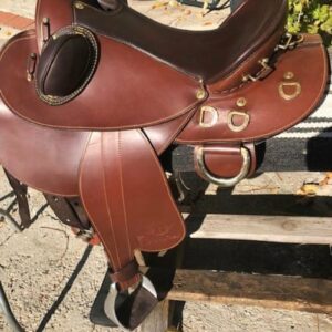 Western Endurance Saddle Reintroduced, Australian Drover Poley for trail riding, Best endurance saddle for high-withered horses, Air-Tunnel Spine Clearance