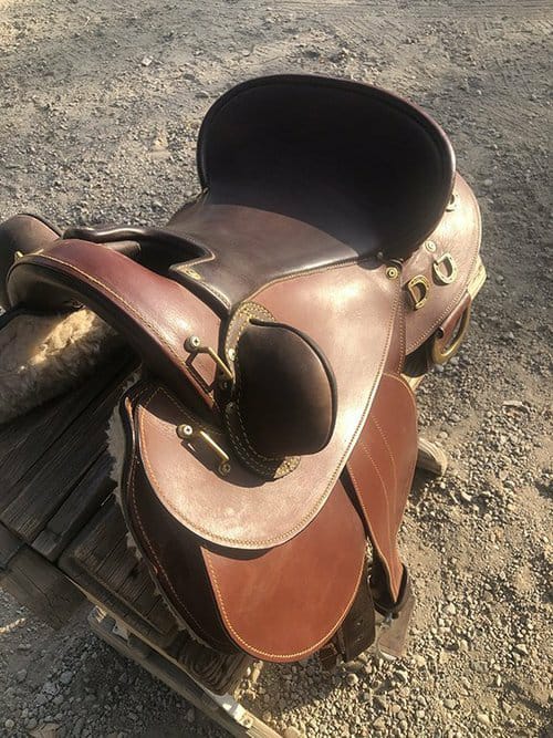 Western Endurance Saddle Reintroduced - Image 2
