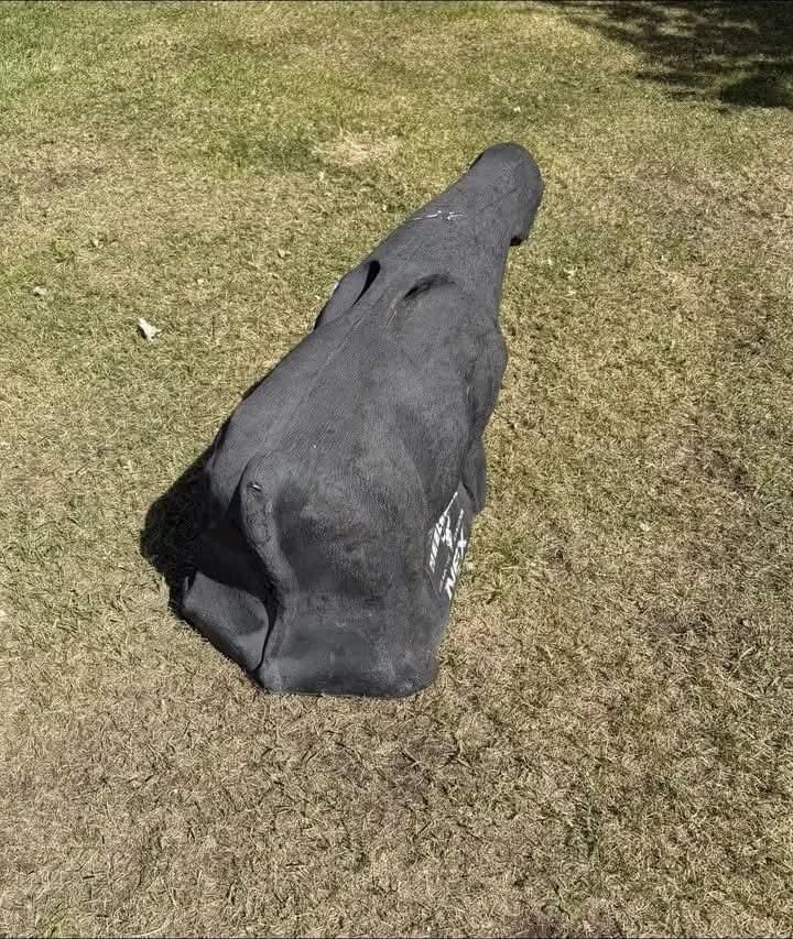 NEX Calf Roping Dummy - Image 4