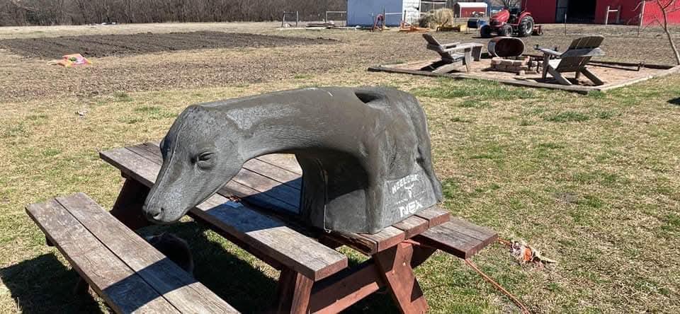 NEX Calf Roping Dummy - Image 3