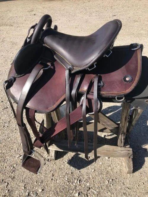 Elite Western Performance Gear, Spring 2026 Western fashion trends, Genuine Billy Cook Trail Saddles, Sustainable leather equestrian gear